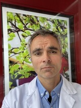 Lege, Doktor, intellektuell