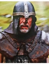 Viking høvding Viking høvding