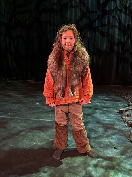 Mattis i Ronja røverdatter